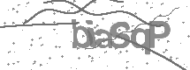 visual captcha